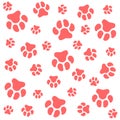 Dog paw.White background and pink dog tracks. Pattern with traces. Royalty Free Stock Photo