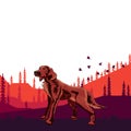 Dog pedigree Irish setter on the hunt, cartoon on a white back Royalty Free Stock Photo