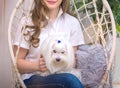 Dog pedigree white balon in the arms of a teenage girl, sitting in a hanging swing, in the home interior