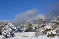 Dog Pen in Winter Royalty Free Stock Photo