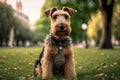 Dog pet Airedale terrier erdelterier in park on green grass illustration Generative AI Royalty Free Stock Photo