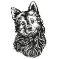 Dog pet hand drawn vector illustration realistic sketch, tattoo.