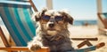 funny dog chair pet summer lazy vacation relax beach sunglasses. Generative AI. Royalty Free Stock Photo