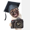 Dog photographer with black graduation hat peeking from behind empty board. isolated on white background Royalty Free Stock Photo