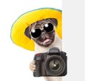 Dog photographer in summer hat and sunglasses peeking from behind empty board and taking pictures. isolated on white background Royalty Free Stock Photo