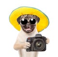 Dog photographer in summer hat and sunglasses taking pictures. isolated on white background Royalty Free Stock Photo