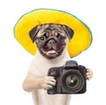 Dog photographer in summer hat taking pictures. isolated on white background Royalty Free Stock Photo
