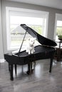 Dog on piano