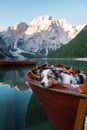 Dog on a pier on Lake braies, Italy. Marble Austrian Shepherd in nature. Royalty Free Stock Photo