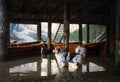 Dog on a pier on Lake braies, Italy. Marble Austrian Shepherd in nature. Traveling with a pet Royalty Free Stock Photo