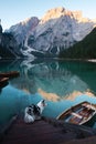 Dog on a pier on Lake braies, Italy. Marble Austrian Shepherd in nature. Traveling with a pet Royalty Free Stock Photo