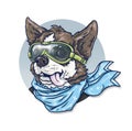 Dog-pilot in glasses and a scarf. Chihuahua. Animation drawing of an amusing dog