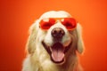 dog pet funny animal portrait smile background fun sunglasses cute isolated. Generative AI.