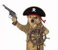 Dog pirate at helm of ship