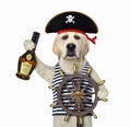 Dog holds helm of pirate ship 2 Royalty Free Stock Photo