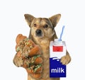 Dog with pistachio croissant and milk