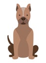 dog pitbull illustration