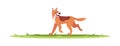 Dog play outside semi flat RGB color vector illustration