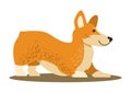 Dog of Playful Mood, Icon Vector Illustration
