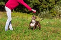 Dog playing ball with his master