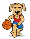 Dog playing basketball