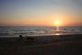 A dog playing on the beach under sunset Royalty Free Stock Photo