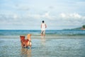 Dog playing on the beach water. dog, pet, family concept