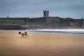 A dog playing at the Carcavelos Beach in a winter morning Royalty Free Stock Photo