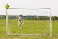 Dog playing football soccer jumps straight up