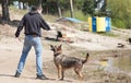 Dog playing frisbee on the beach, german shepherd playing frisbee on the beach, dog on the beach Royalty Free Stock Photo