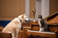 dog playing trumpet, while cat plays piano in a grand concert hall