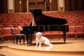 dog playing violin and cat playing the piano in a grand concert hall