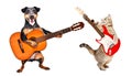 The dog plays the acoustic guitar and the cat plays the electric guitar Royalty Free Stock Photo