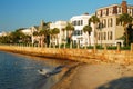 A dog plays in the water at the Charleston Royalty Free Stock Photo