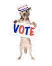 Dog Politician Vote Sign Royalty Free Stock Photo