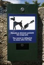 Dog poo Royalty Free Stock Photo