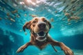 pool dog snorkeling water fun puppy funny swimming underwater vacation. Generative AI.