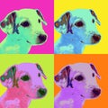 Dog Pop Art Illustration - Dachshund Puppy Animal - Modern Abstract Colorful Drawing - Bright Neon Colors