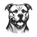 Dog Portrait Pit bull engraving sketch raster Royalty Free Stock Photo