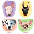 Dog portrait set flat design Royalty Free Stock Photo