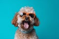 pet dog animal sunglasses background portrait cute canine smile funny. Generative AI.