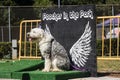 Dog poses for photo against angel wing backdrop at festival Royalty Free Stock Photo