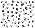 Dog prints