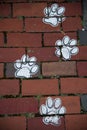 Dog prints