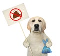 Dog with prohibition sign and poop bag Royalty Free Stock Photo