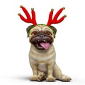 Dog pug cartoon with a christmas hat in a lazy pose Royalty Free Stock Photo