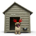 Dog pug cartoon with a christmas hat is waiting for xmas Royalty Free Stock Photo