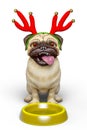 Dog pug cartoon with a christmas hat want some food Royalty Free Stock Photo