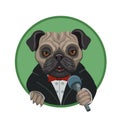 Dog pug with a microphone lead Royalty Free Stock Photo
