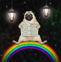 Dog pug with newspaper on rainbow Royalty Free Stock Photo